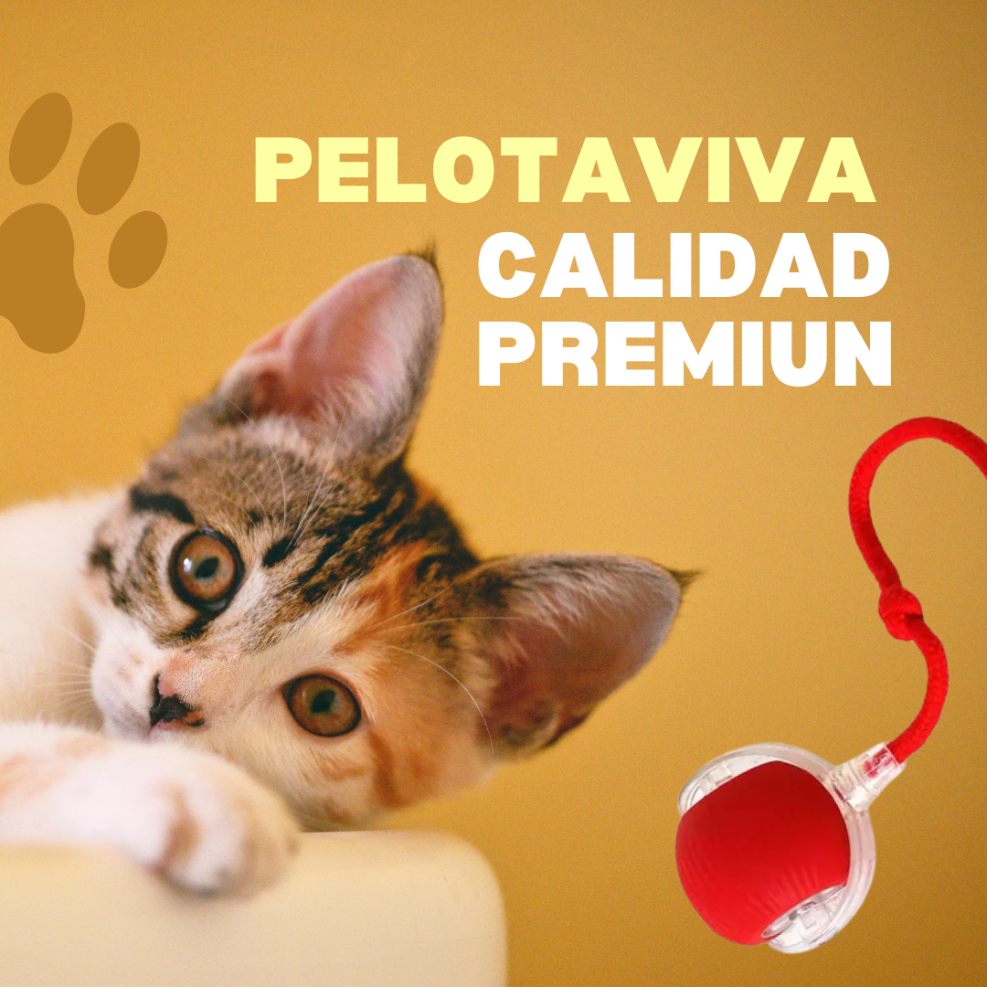 Pelotaviva UP-2 para gato, juguete interactivo que estimula el juego y bienestar del gato